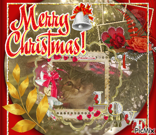 Merry Christmas Cat - Gratis geanimeerde GIF