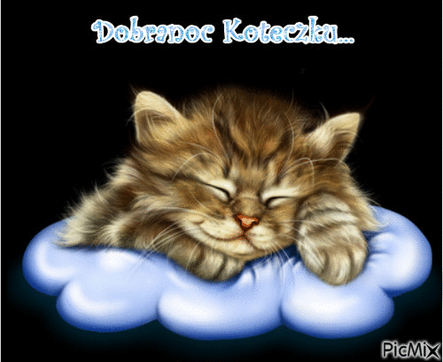 dobranoc koteczku - Darmowy animowany GIF