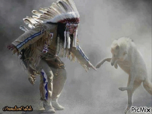 Indien et loup blanc - GIF animé gratuit