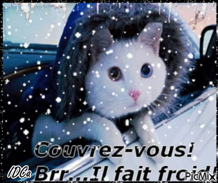 Couvrez vous - Free animated GIF