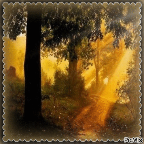 Herbst Landschaft, paysage, landscape - Darmowy animowany GIF