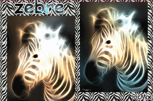 zebre ! - Бесплатни анимирани ГИФ