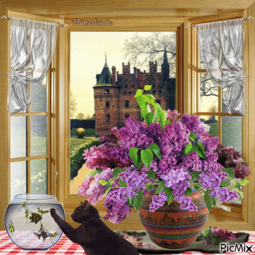 Bouquet de lilas. - Zdarma animovaný GIF