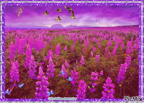 HD paysage sur fond violet - GIF animé gratuit