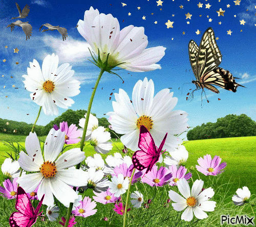 paisaje mariposas - GIF animado gratis