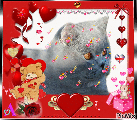 Joyeuse Fête de St Valentin à tous les amoureux des chats - Animovaný GIF zadarmo