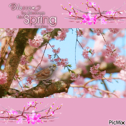 Spring - Безплатен анимиран GIF