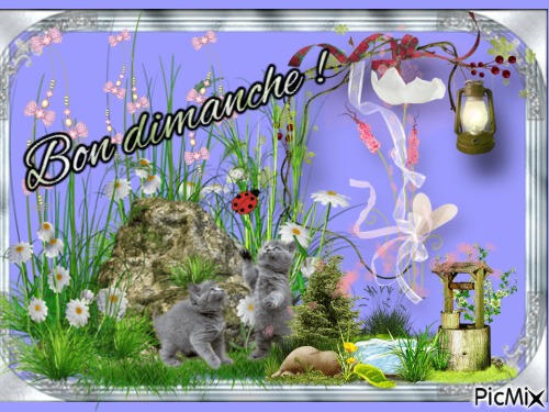 Les chatons - Free PNG