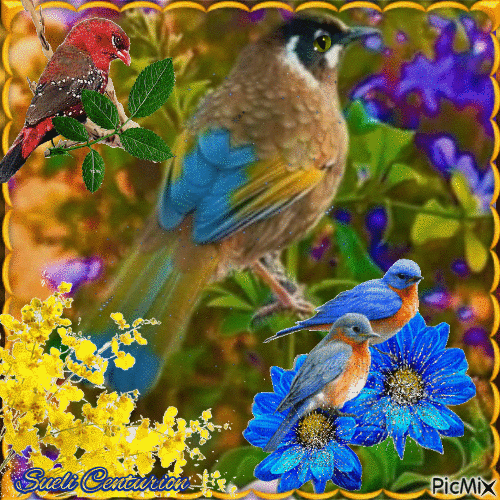 Primavera e pássaros - 無料のアニメーション GIF
