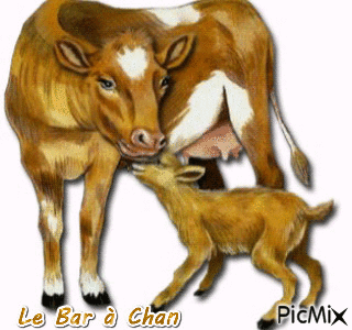 vache - Ilmainen animoitu GIF