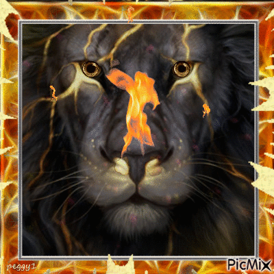 lion the fire sign - GIF animé gratuit