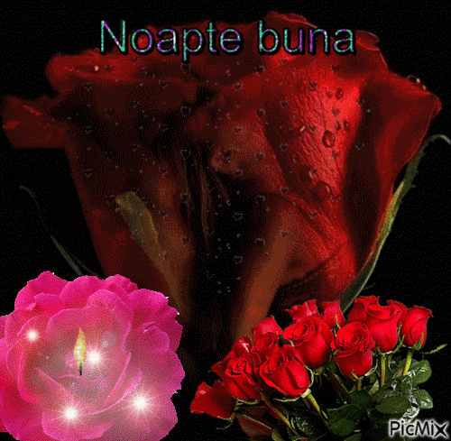 NOAPTE BUNA - 無料のアニメーション GIF