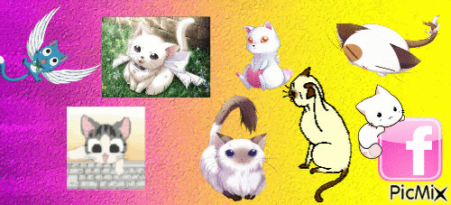 la vie des chat manga - Besplatni animirani GIF