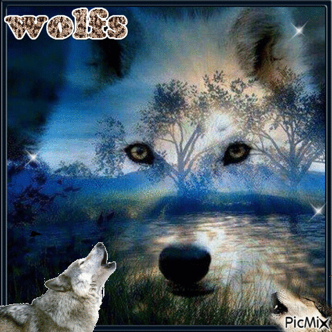 wolfs - Gratis animerad GIF