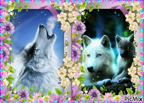 Twin Wolves1 - Free animated GIF