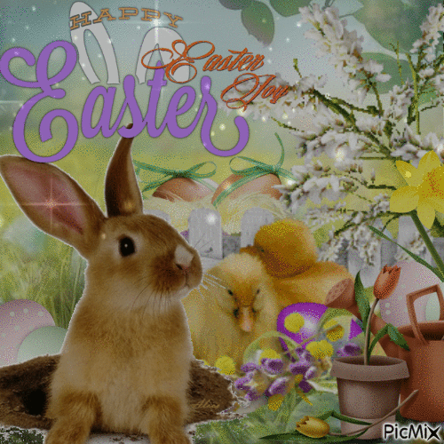 Easter Joy - Zdarma animovaný GIF