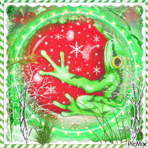 Christmas frog - GIF เคลื่อนไหวฟรี