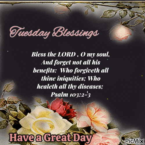 Tuesday Blessings - Have a Great Day - Greeting Card - Zdarma animovaný GIF