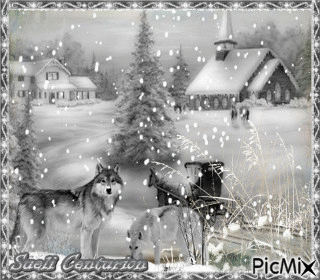 Inverno Preto e Branco - Ingyenes animált GIF