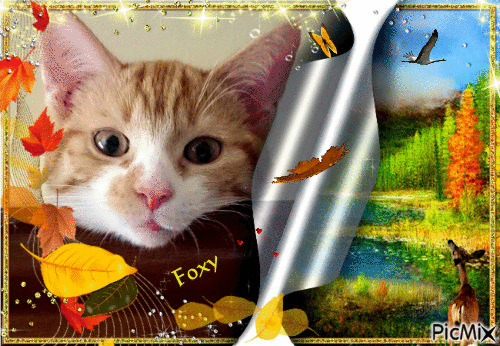 Foxy - Bezmaksas animēts GIF