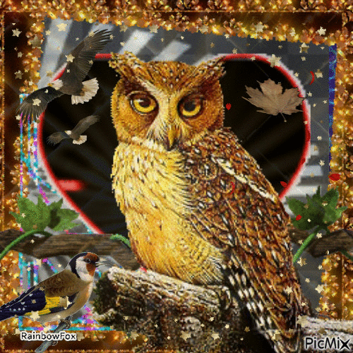 Autumn Owl - GIF animé gratuit