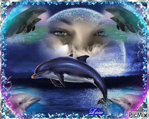 Les yeux sur les dauphins ♥♥♥ - Бесплатный анимированный гифка