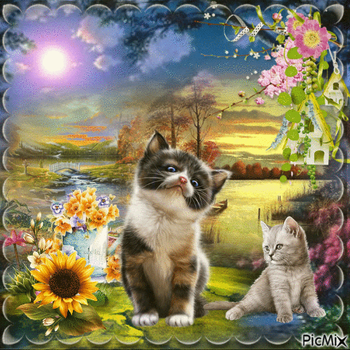 chat avec des fleurs - Besplatni animirani GIF