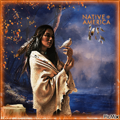 american native - GIF animé gratuit
