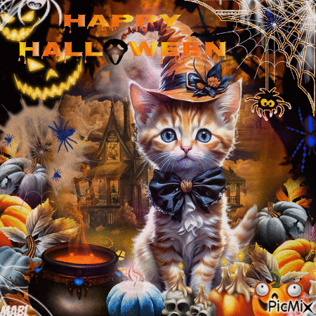 Chat d'Halloween - Free animated GIF