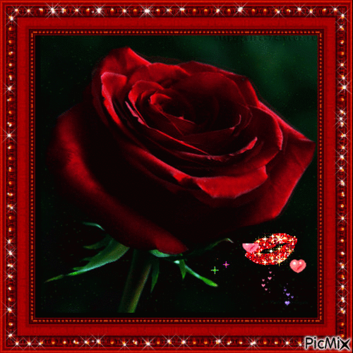 Portrait Red Flower Happy Valentine's Day - Zdarma animovaný GIF