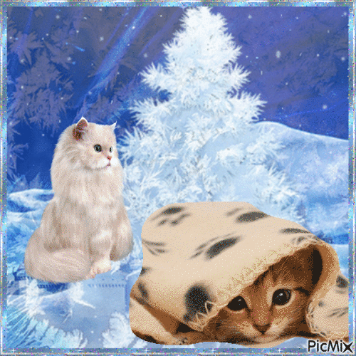 Kätzchen im Schnee - GIF animé gratuit