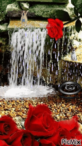 Agua y flor - Gratis animeret GIF