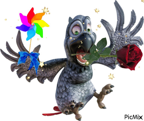 papoušek - GIF animate gratis