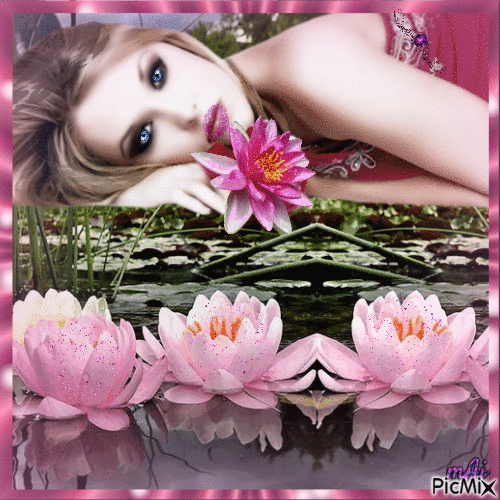 Concours "Fleur de lotus" - Besplatni animirani GIF