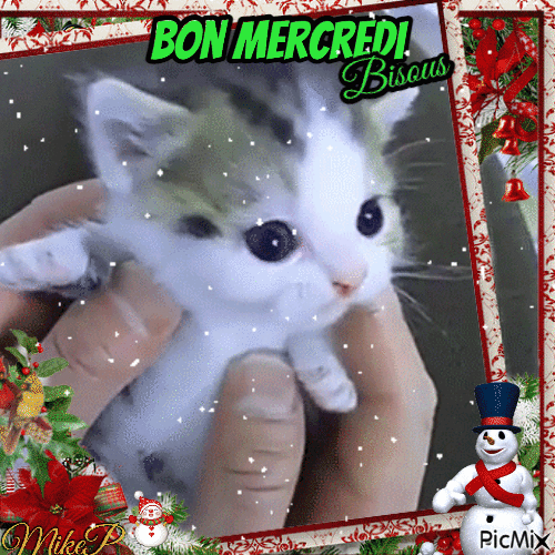 bon mercredi - Bezmaksas animēts GIF