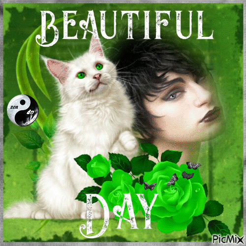 Green- Day - Free animated GIF