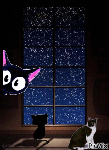 Tres misteriosos gatos - GIF animate gratis