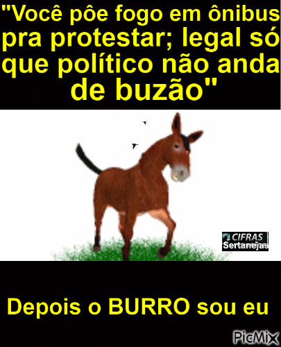 burro - Bezmaksas animēts GIF