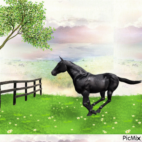 Dark Horse - Free animated GIF