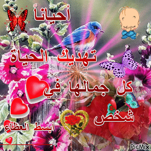 ةةةةة - Безплатен анимиран GIF
