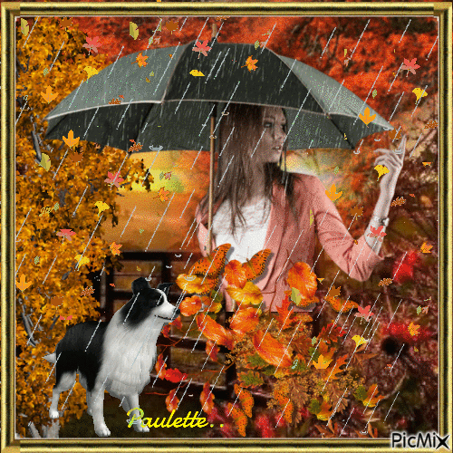 pluie d'automne - GIF animado gratis
