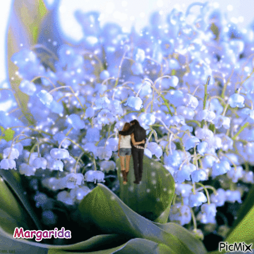 margarida - GIF animate gratis