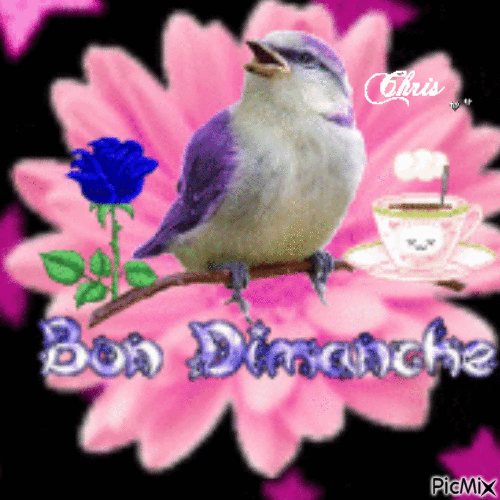 Bonjour Bon Dimanche ... - Animovaný GIF zadarmo