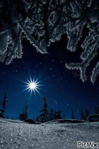 Winter Night - Бесплатни анимирани ГИФ