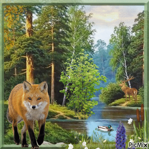 Tiere im Wald - Ingyenes animált GIF