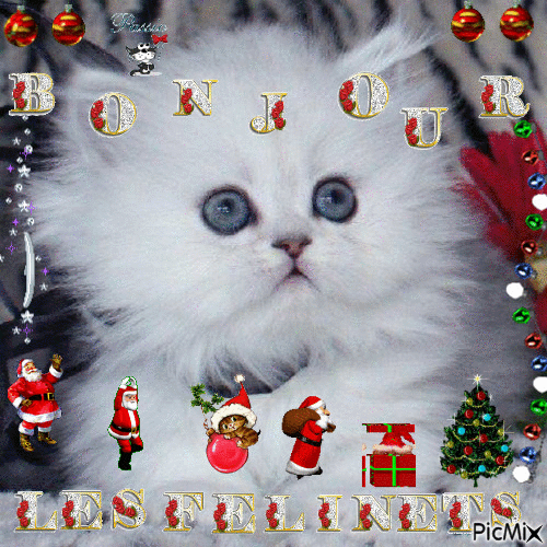 Noël chaton - GIF animé gratuit