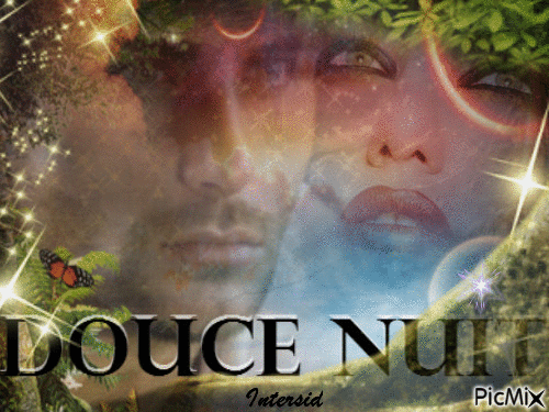 ✨ 🌙  Douce Nuit 🌙 ✨ - GIF เคลื่อนไหวฟรี