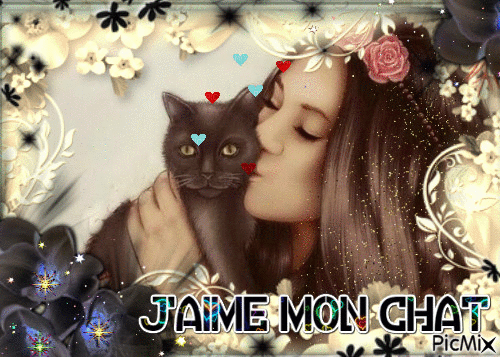 J Aime Mon Chat Picmix