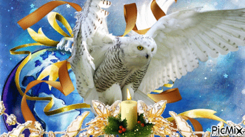 christmas owl - GIF animé gratuit