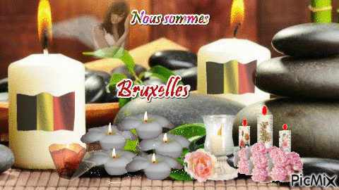 nous sommes Bruxelles - Free animated GIF